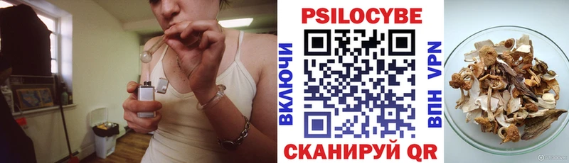 ОМГ ОМГ ONION Невьянск Псилоцибиновые грибы Psilocybe закладки